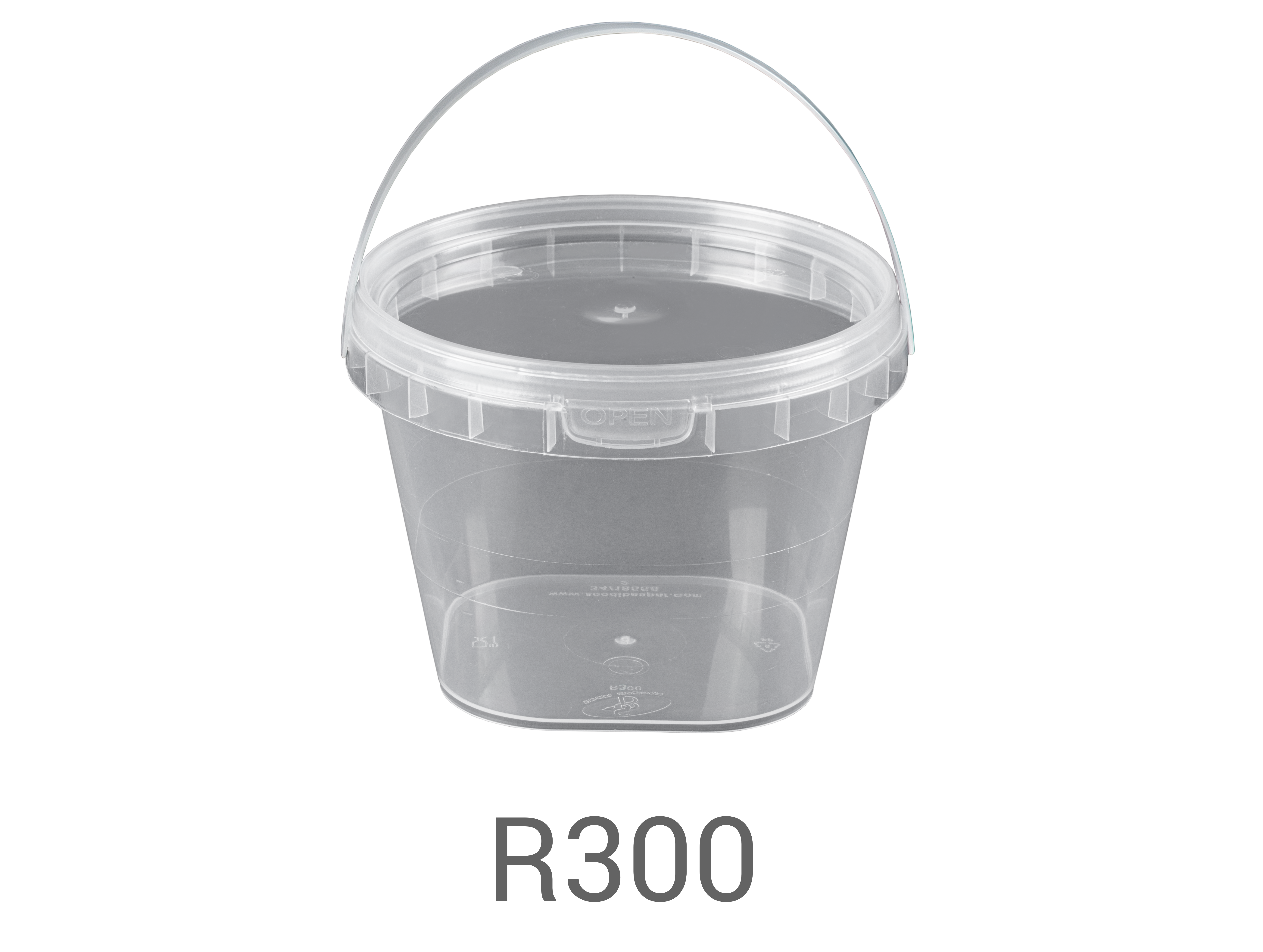 R300